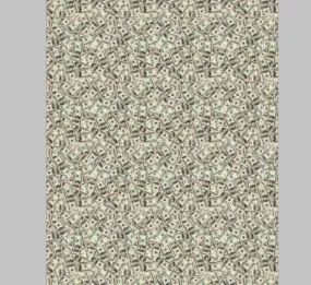 4 foot roll: Printed Vinyl & HTV Cash Money Pattern