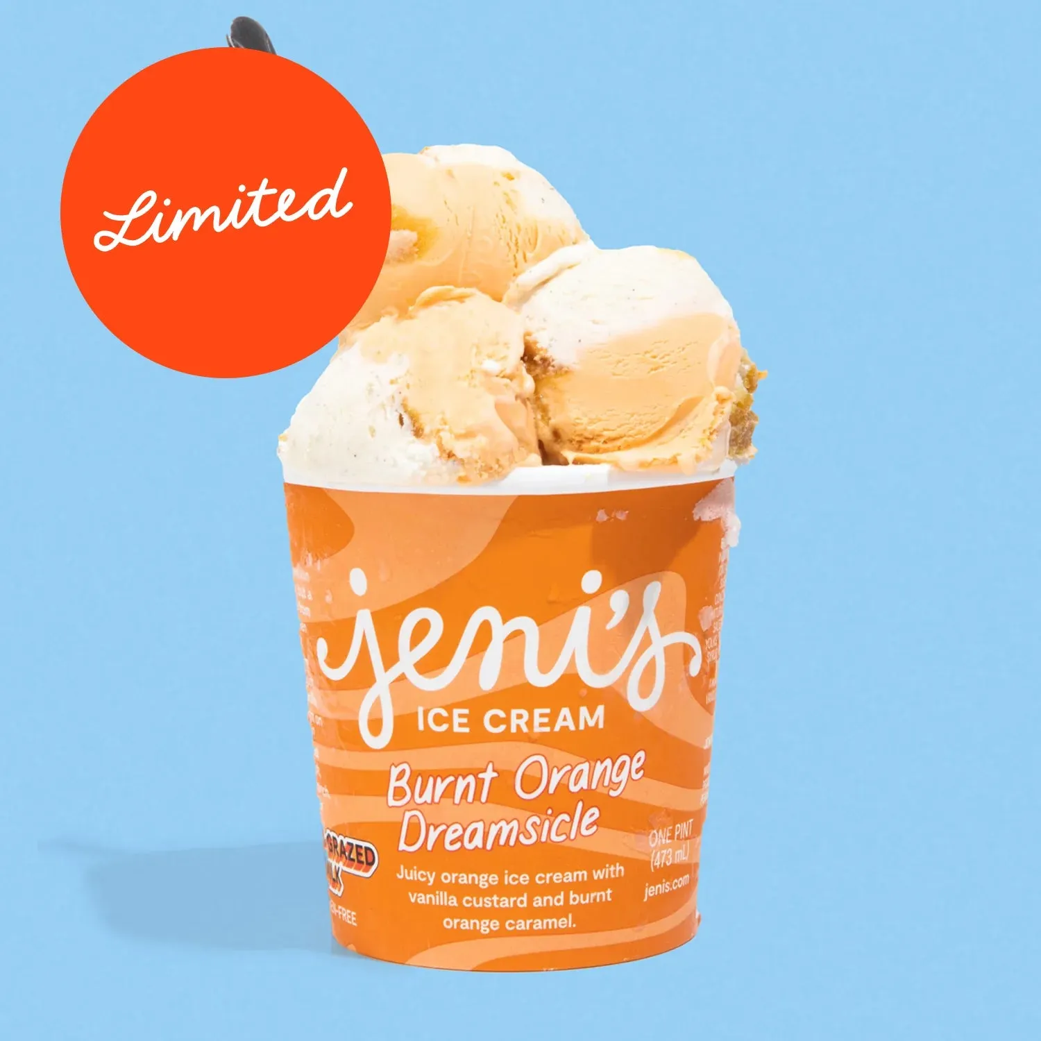 Burnt Orange Dreamsicle Ice Cream