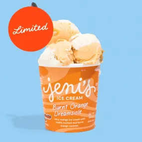 Burnt Orange Dreamsicle Ice Cream