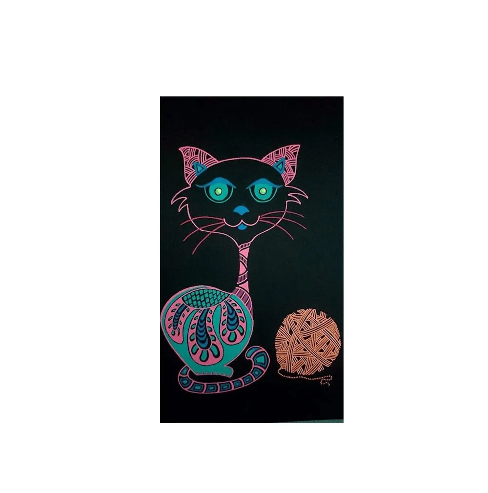 Campap Acid Free 80 GSM A4 Black Drawing Paper-20 Sheets