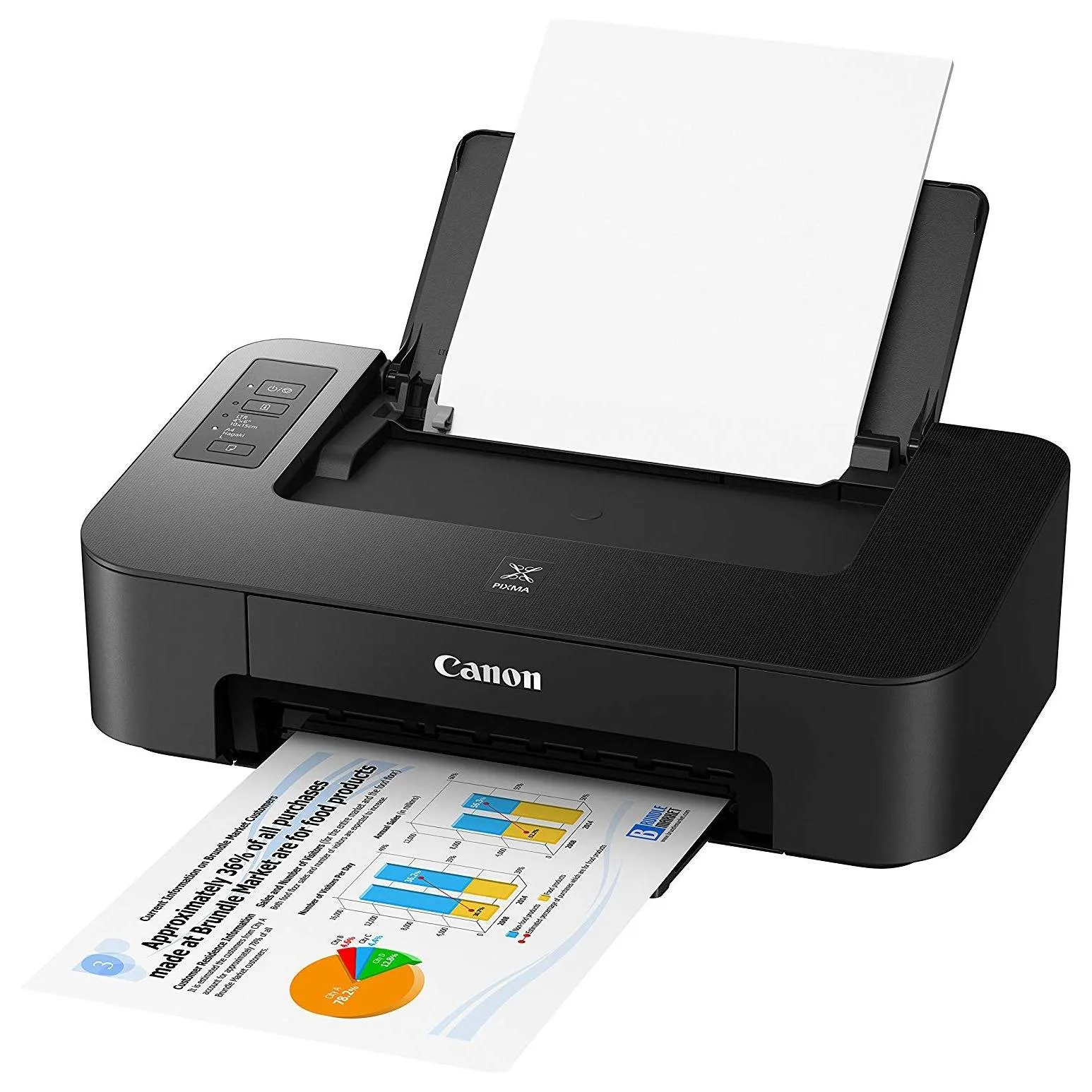 Canon TS202 Inkjet Photo Printer
