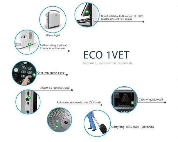 Chison ECO1Vet Demo