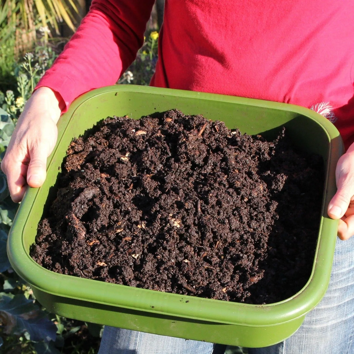 Hungry Bin Worm Compost Bin