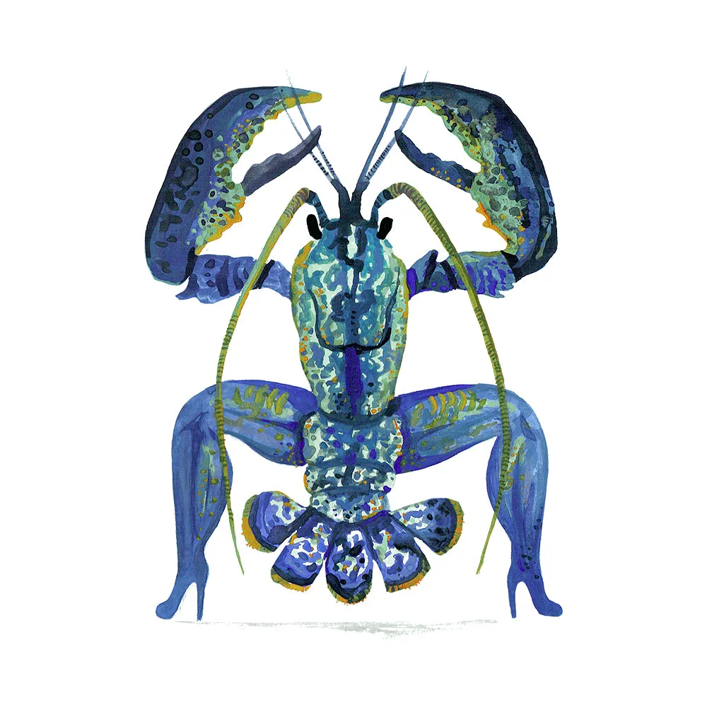 Lobster