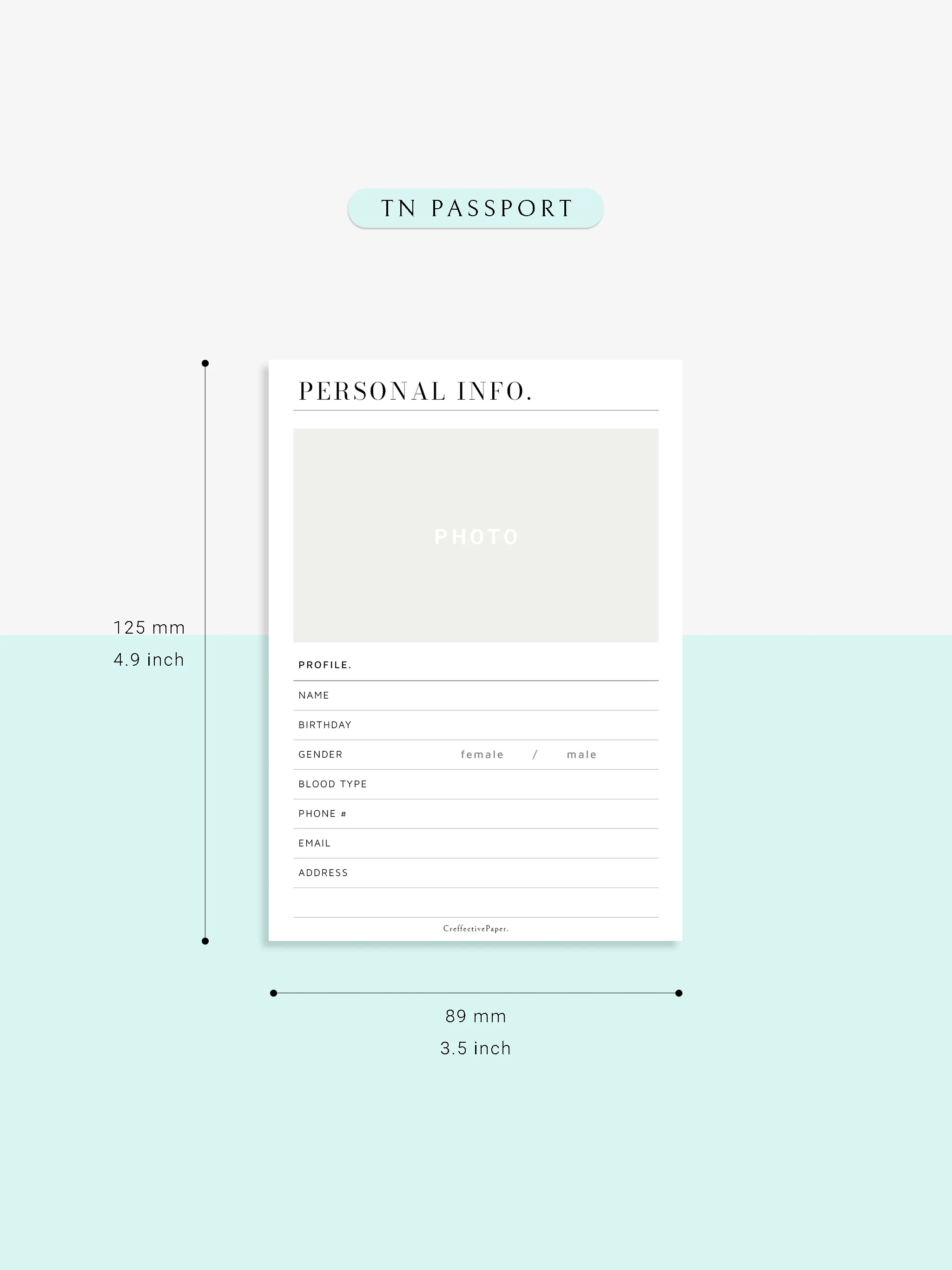 N113 | Personal Information & Medical Log Template