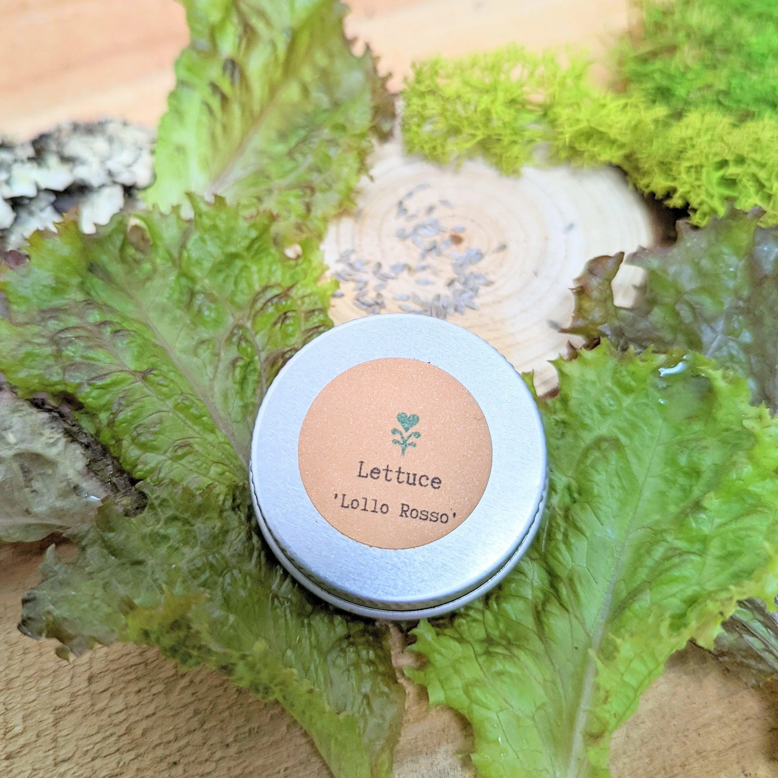 Organic Lettuce Lollo Rosso Seeds