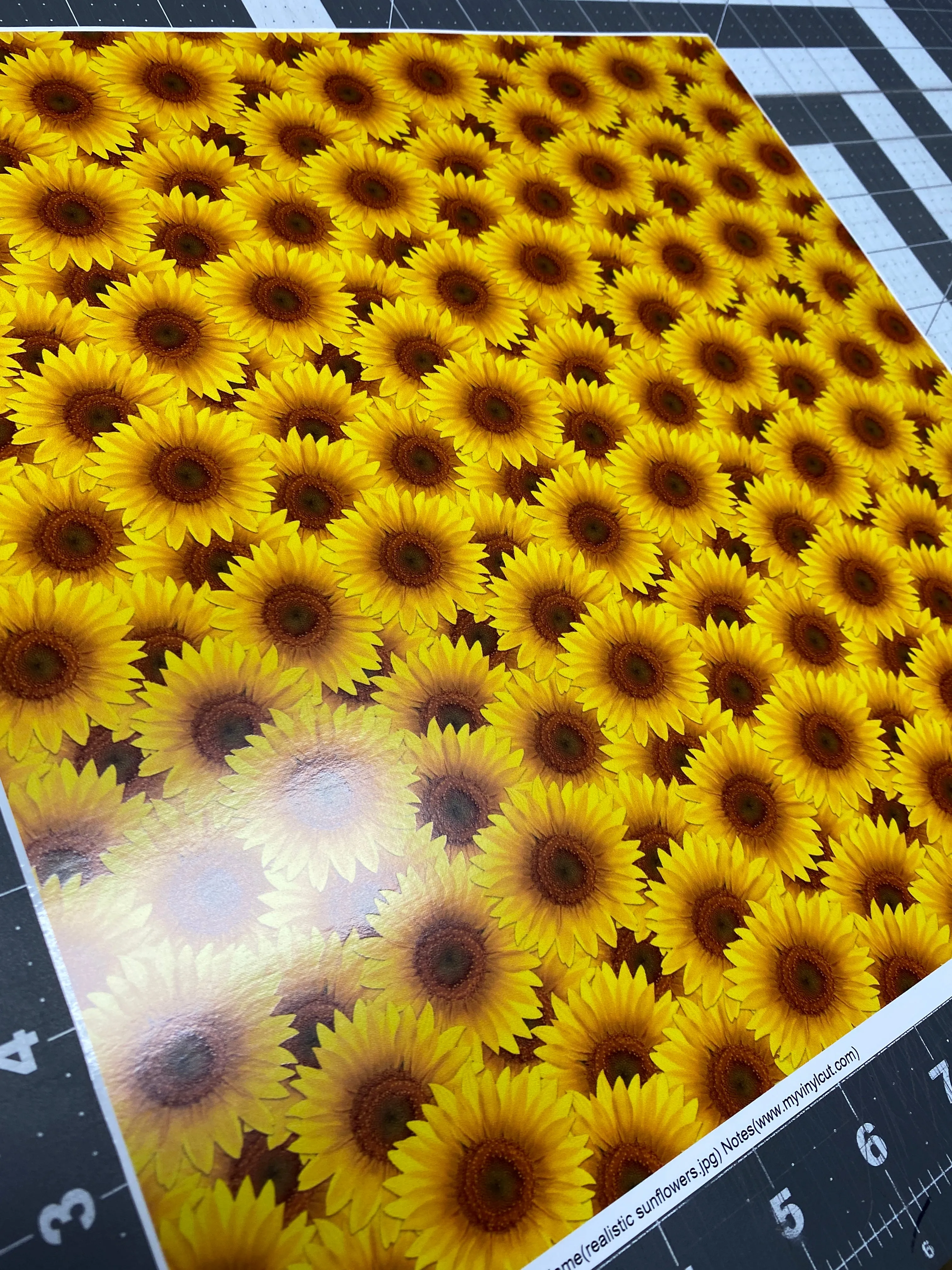 Printed Adhesive Vinyl Realistic Sunflower Pattern 12 x 12 inch sheet