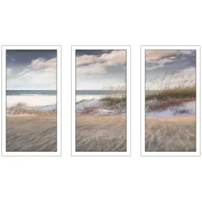 "Amongst The Sea Grass" by Mike Calascibetta Print on Acrylic Set of 3 - Blue