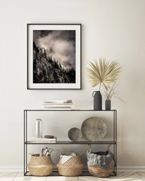 "The Clearing" | Nature Photography Print