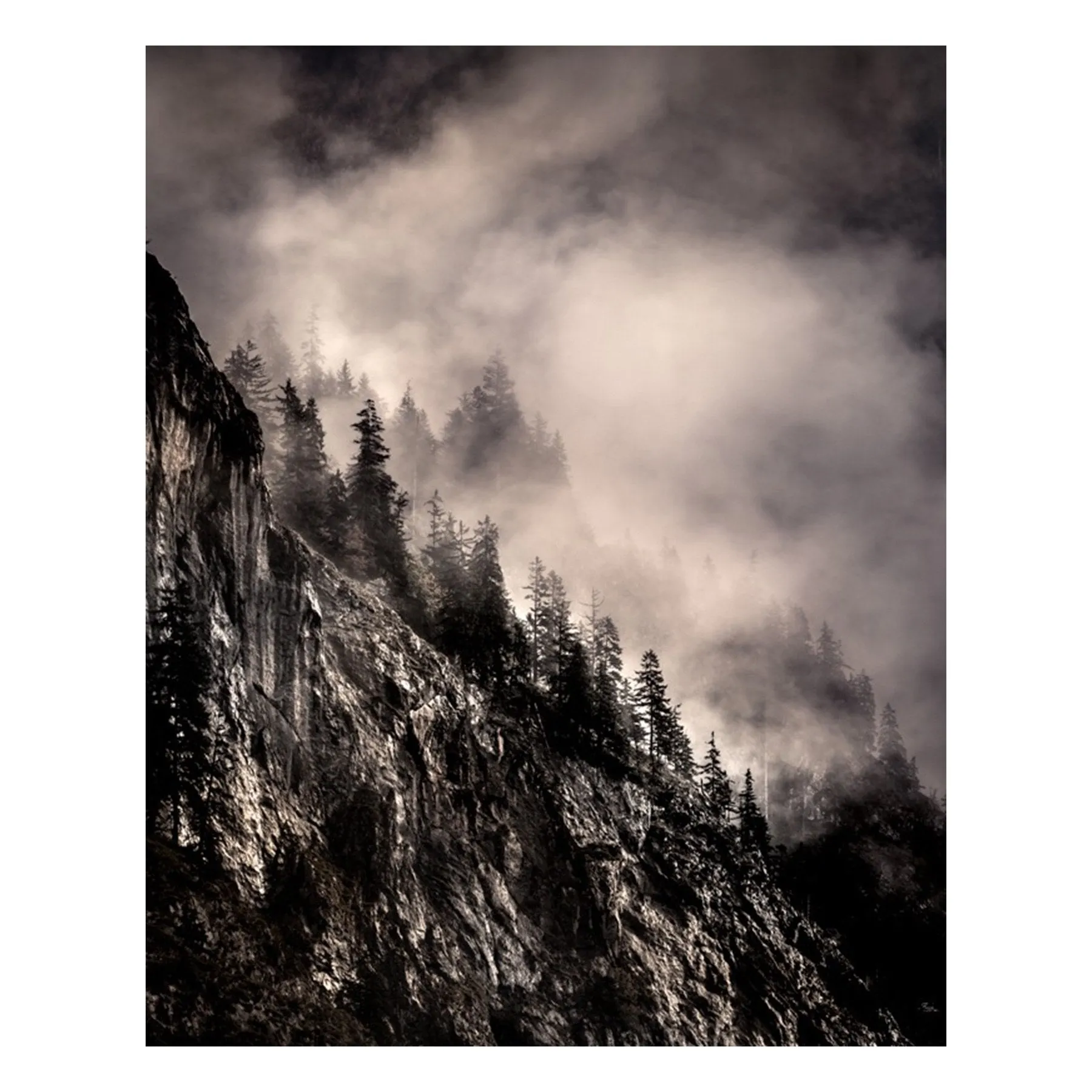"The Clearing" | Nature Photography Print