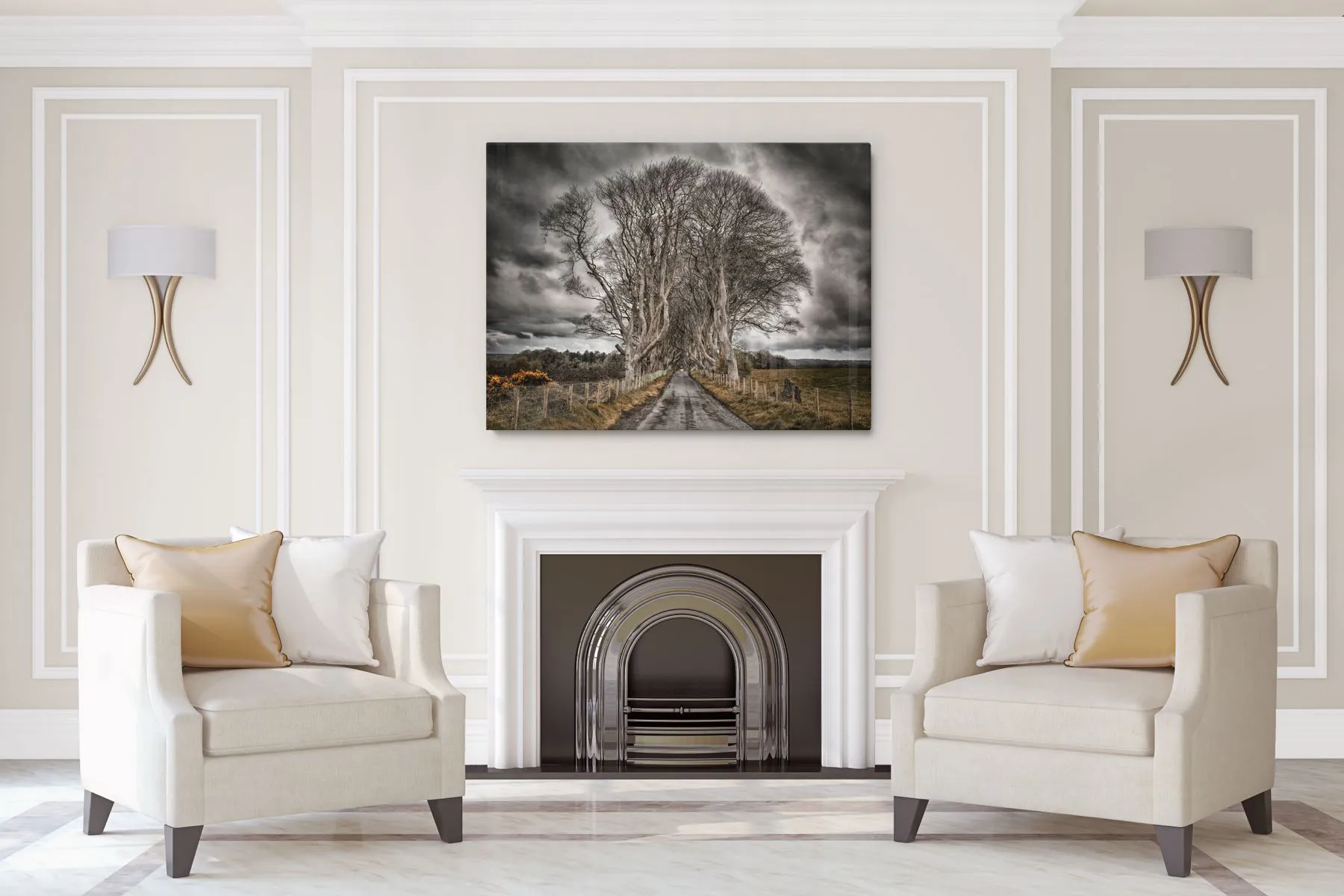 "The Grove" | Ireland Photography Print