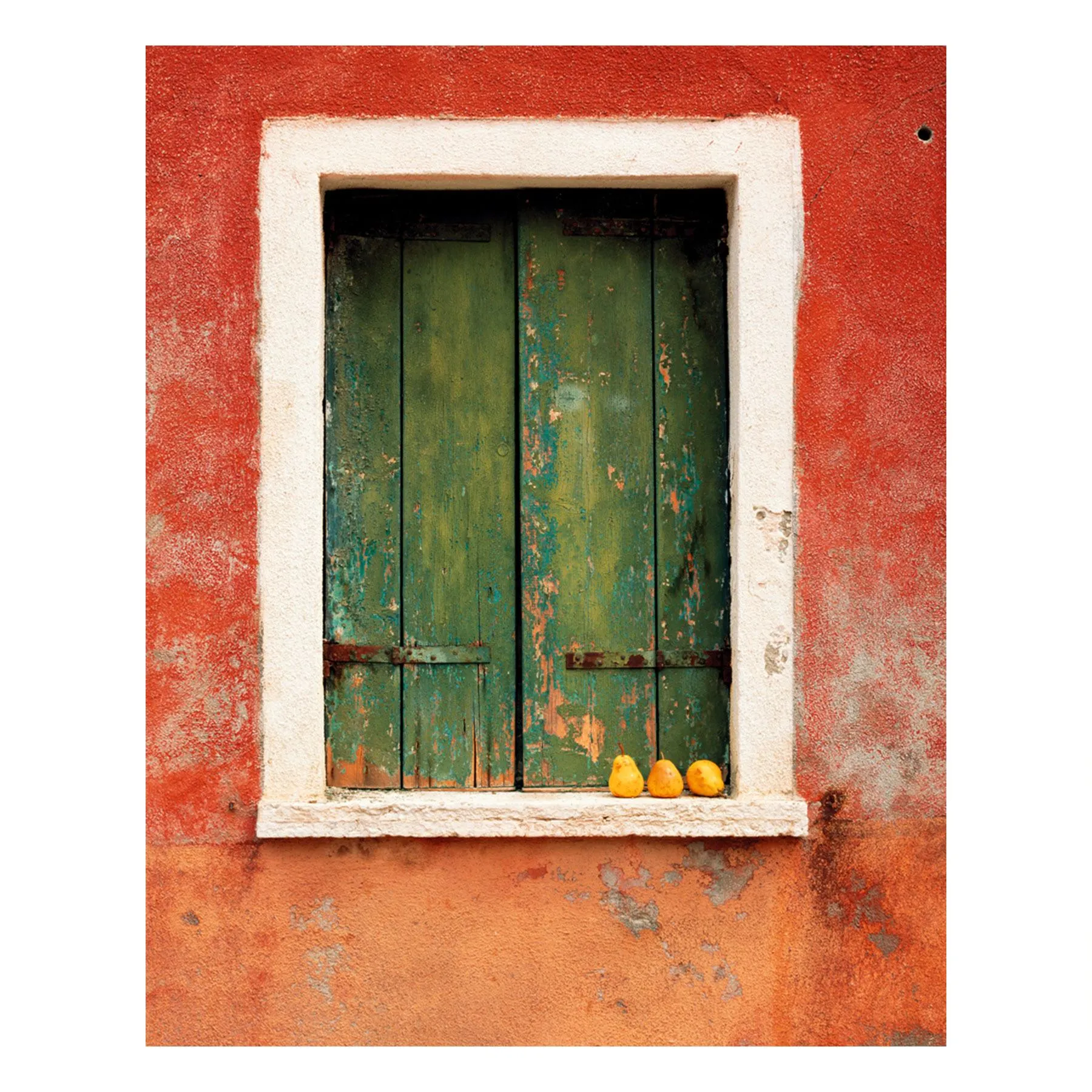 "Three Pear" | Fine Art Print