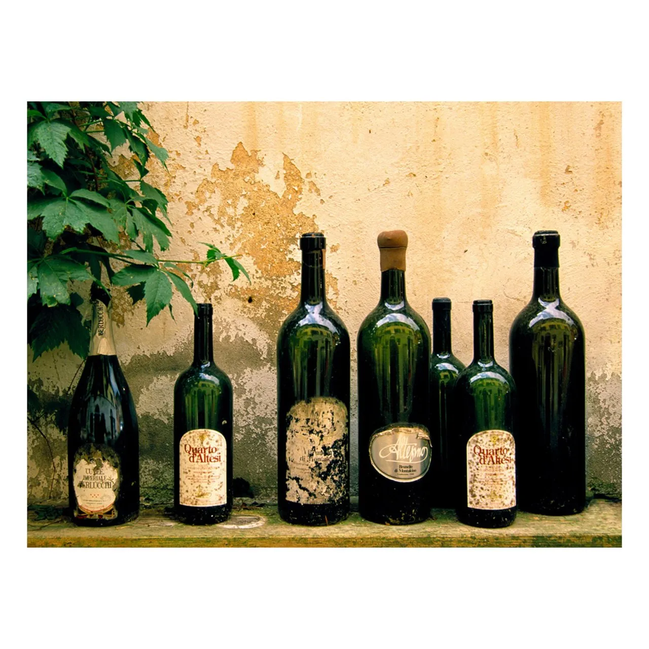 "Time in a Bottle" | Italy Photography Print