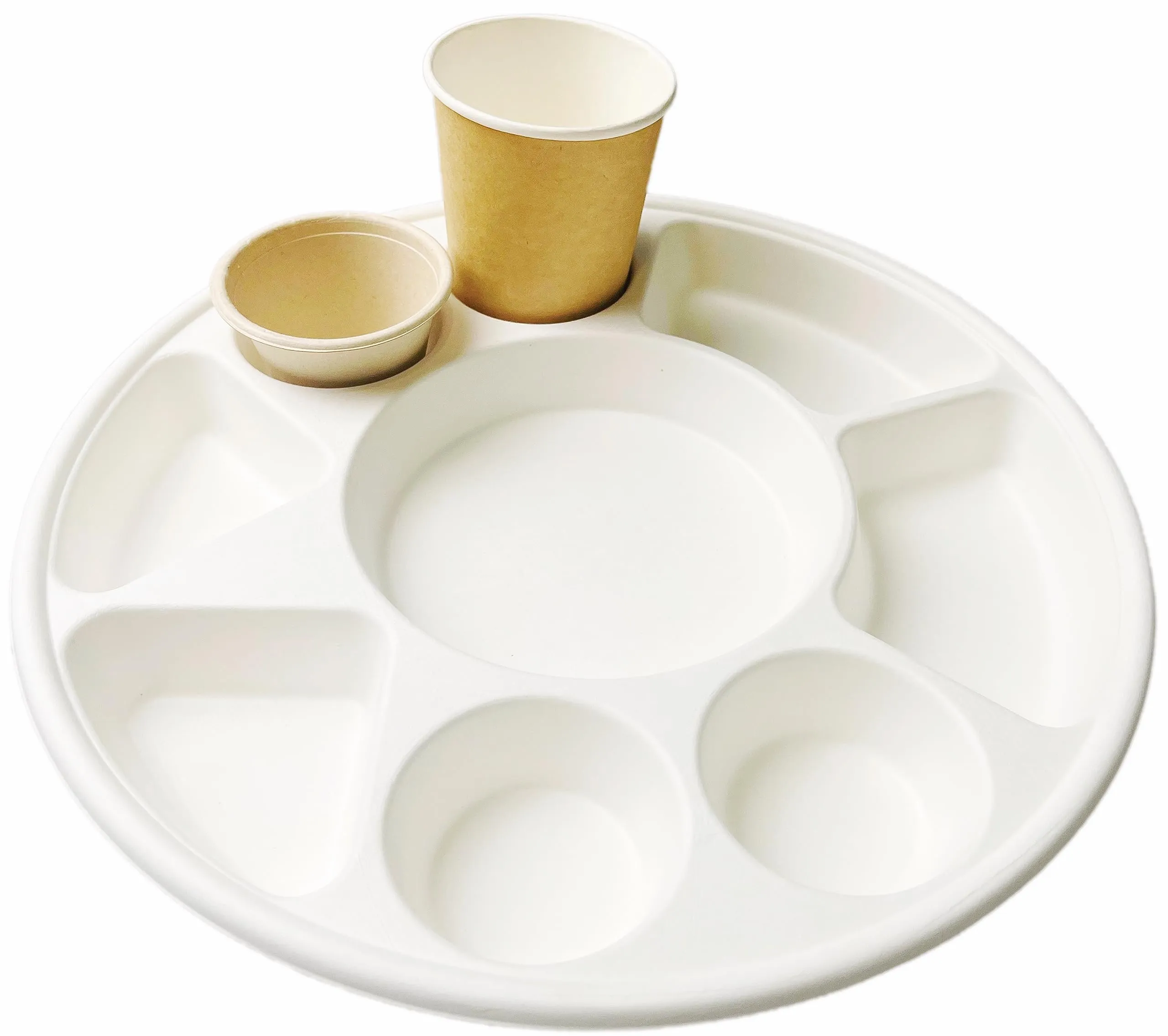 Rani Round Biodegradable Divided Plates, Pack of 25, 9 Compartments ~ Disposable & Eco-Friendly | 12.44" Diameter, 1.38" Thickness | Heavy-Duty and Sturdy Disposable Bagasse Plates | Premium Quality