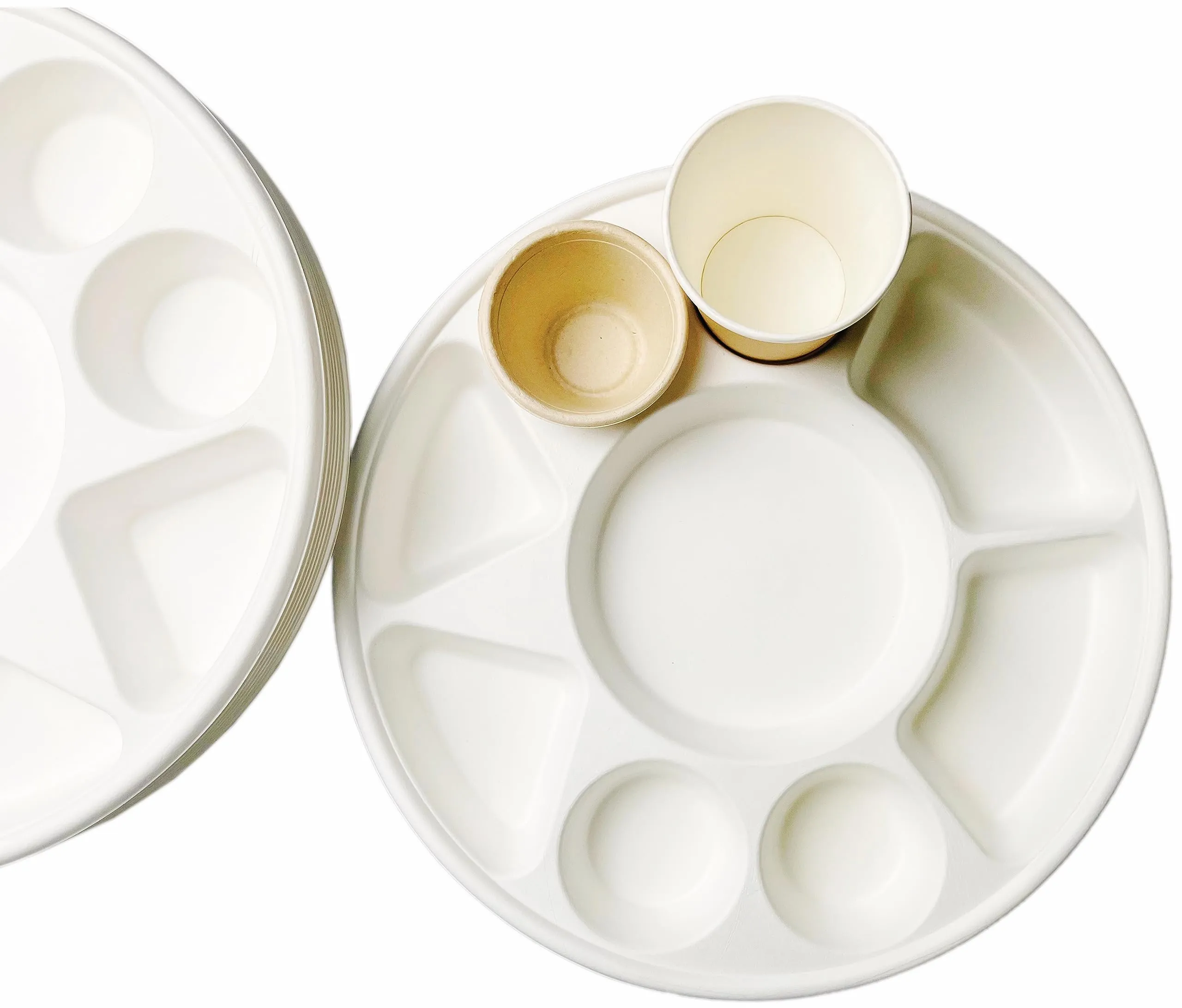 Rani Round Biodegradable Divided Plates, Pack of 25, 9 Compartments ~ Disposable & Eco-Friendly | 12.44" Diameter, 1.38" Thickness | Heavy-Duty and Sturdy Disposable Bagasse Plates | Premium Quality