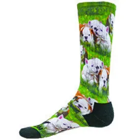 Sublimated English Bulldog Puppies Sport Socks (Unisex)
