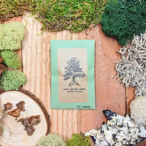 Taxodium Distichum 'Bald Cypress' Seeds