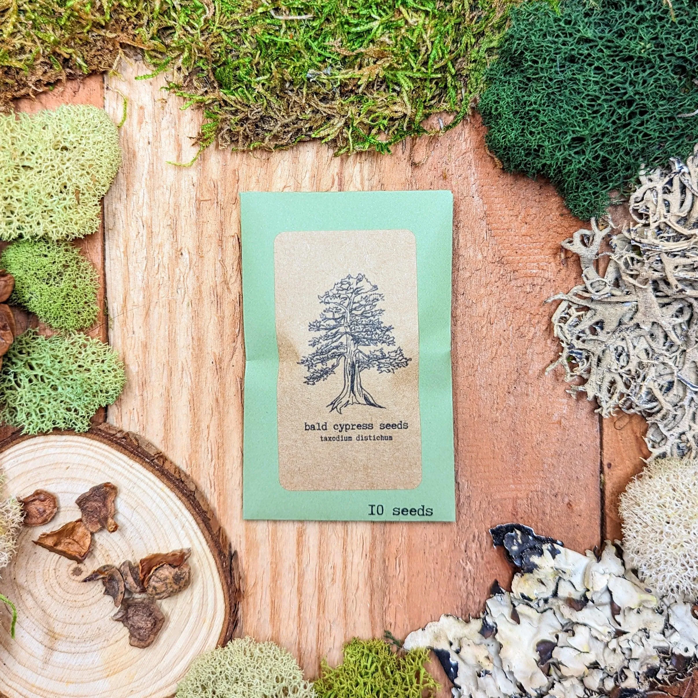 Taxodium Distichum 'Bald Cypress' Seeds